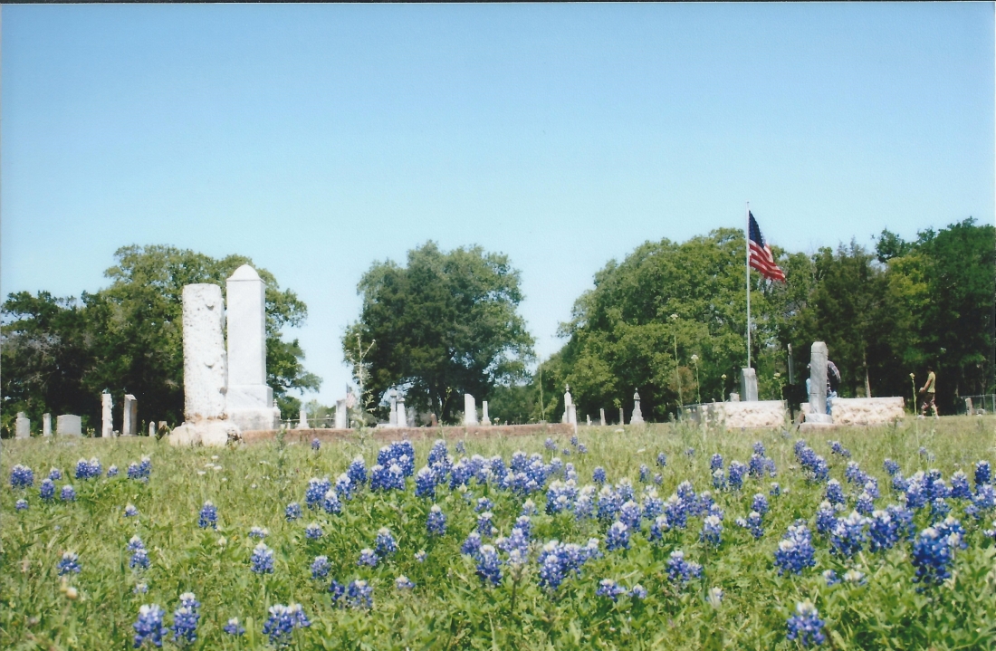 Spring bluebonnets blooming at Scott's Chapel Cemetery